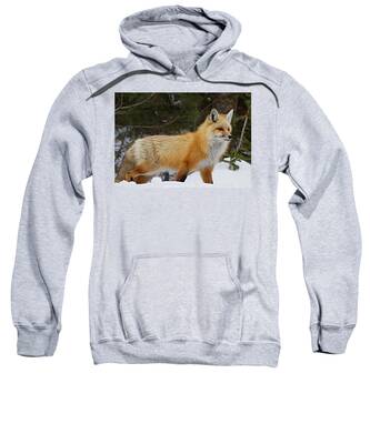 Red Foxes Hooded Sweatshirts