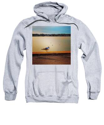 Ocean Animals Hooded Sweatshirts