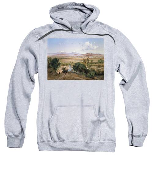 Flatness Hooded Sweatshirts