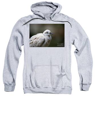 Collared Dove Hooded Sweatshirts