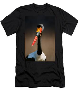 Designs Similar to Saddle-billed stork portrait