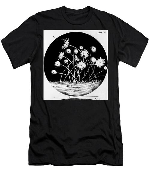 Micrographia #2 T-Shirt