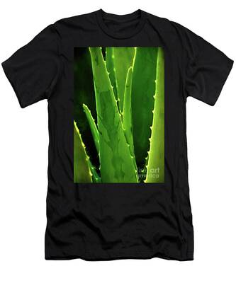 Designs Similar to Aloe Vera by Sharon McConnell