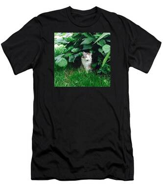 Maine Coon Cat T-Shirts