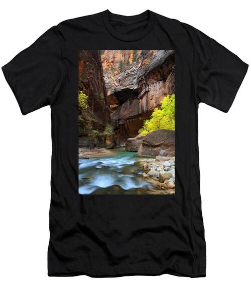 Colors In The Virgin Narrows Of Zion T-Shirt