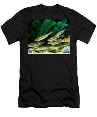 Minnow T-Shirts for Sale - Fine Art America
