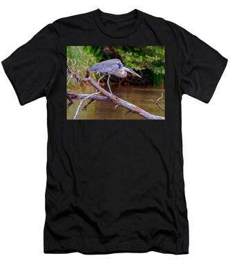 Oak Creek Canyon T-Shirts