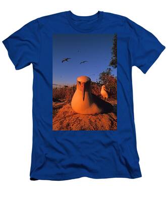 Laysan Albatross T-Shirts