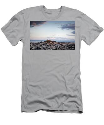 Bernal Heights T-Shirts