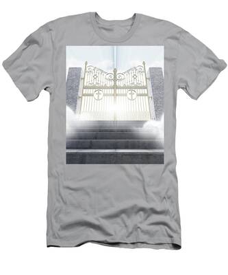 Heavens Gate T Shirts Pixels