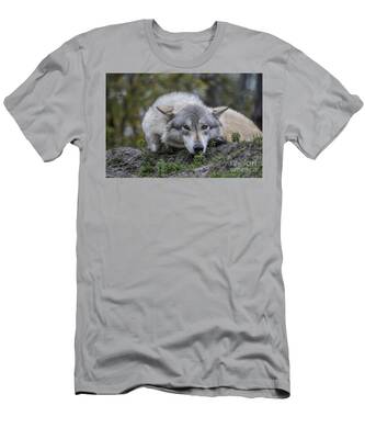 Alaskan Timber Wolf T-Shirts