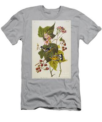 Magnolia Warbler T-Shirts