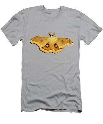 Designs Similar to Male Moth Yellow .png