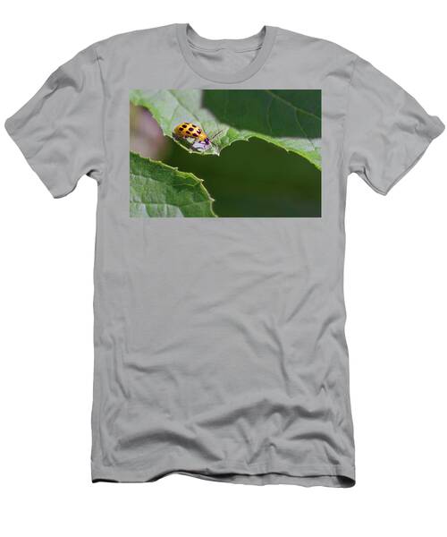 Spotted Cucumber Beetle T-Shirts