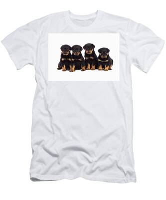 Designs Similar to Rottweiler Puppy Dogs #4
