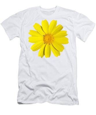 Chrysanthemum Coronarium T-Shirts