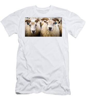 Icelandic T-Shirts