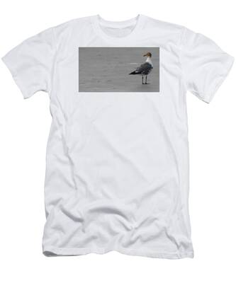 Sea Gull T-Shirts