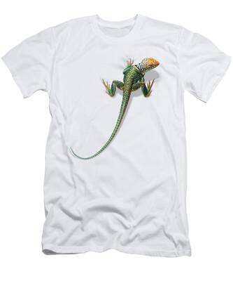 Collared Lizard T-Shirts