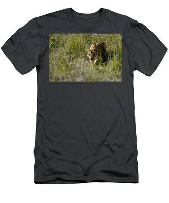 Bandhavgarh National Park T-Shirts