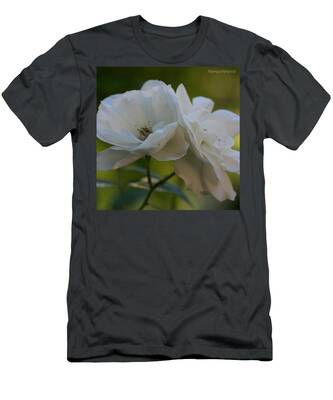 Acrylic Landscape T-Shirts