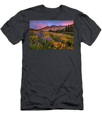 Albion Basin T-Shirts