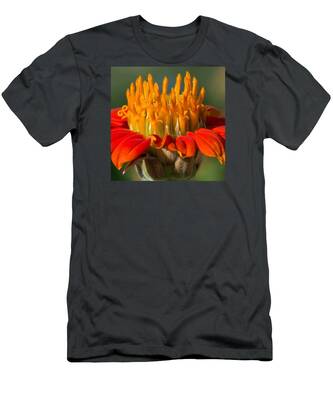 Desert Bloom T-Shirts