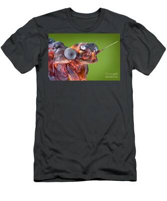 Mayfly T-Shirts for Sale - Pixels