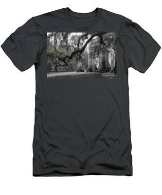 Sheldon Church Ruins T-Shirts