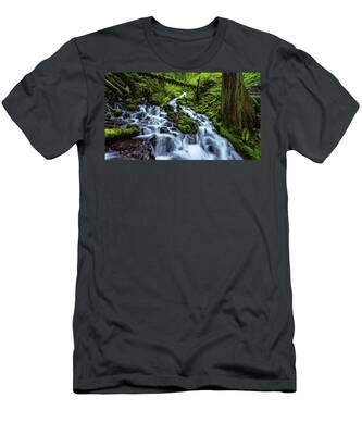 Columbia River Gorge T-Shirts