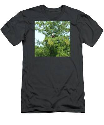Birds Of America T-Shirts