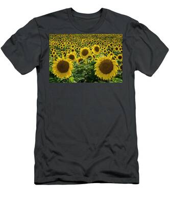 Designs Similar to Sunflower Field by David Sams