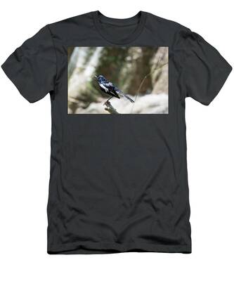 Magpie Robin T-Shirts for Sale - Fine Art America