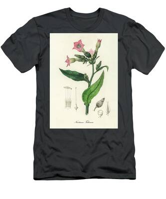 Nicotiana T-Shirts