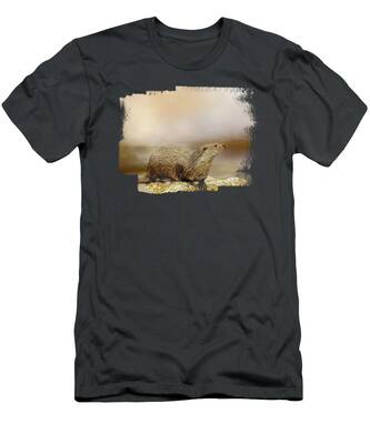 River Stones T-Shirts