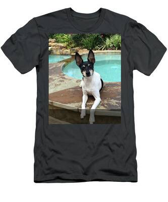 Love Toy Fox Terrier T Shirt Design Toy Fox Terrier Tee Shirt