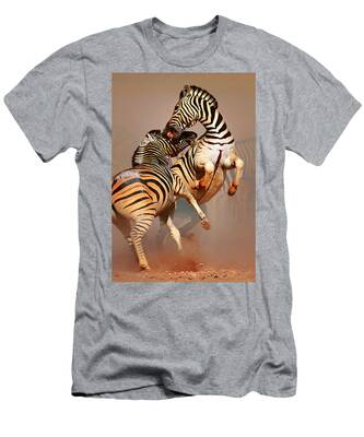 Designs Similar to Zebras fighting