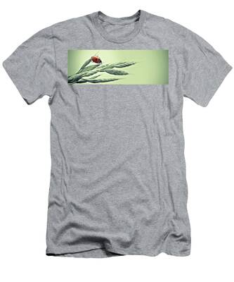 Ladybug T-Shirts