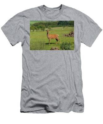 Beecraigs T-Shirts