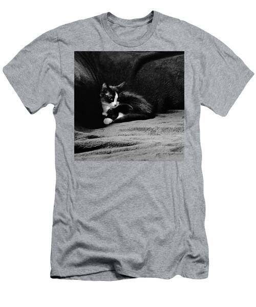 Black Kitten T-Shirts