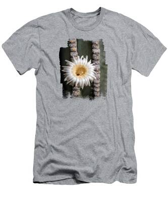 Saguaro T-Shirts