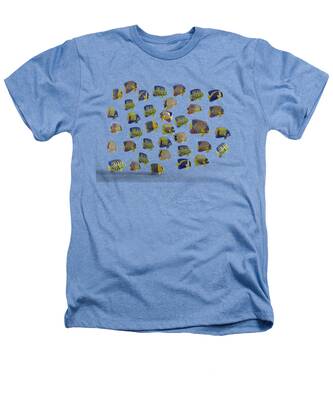 Seahorse Heathers T-Shirts