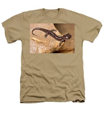 Plethodon Heathers T-Shirts