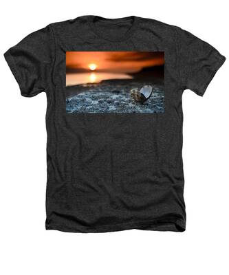 Sea Snail Heathers T-Shirts