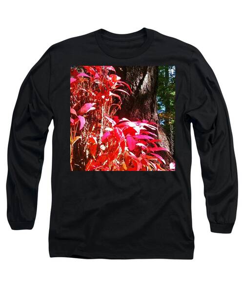Brown Leaves Long Sleeve T-Shirts