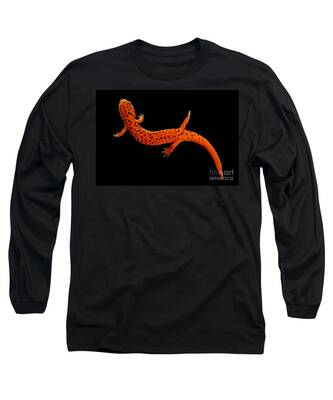 Plethodontidae Long Sleeve T-Shirts