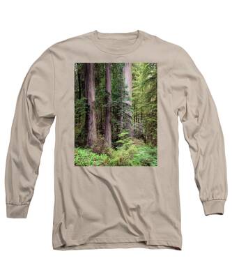 Sequoia Sempervirens Long Sleeve T-Shirts