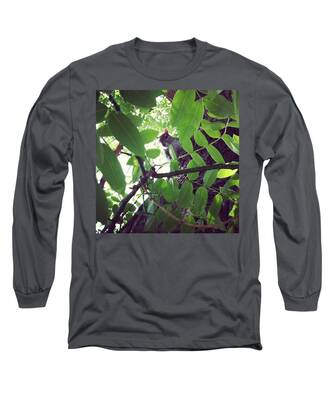 Squirrell Long Sleeve T-Shirts