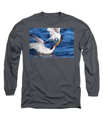 Elegant Tern Long Sleeve T-Shirts