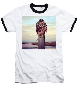 Bird Of Prey Baseball T-Shirts